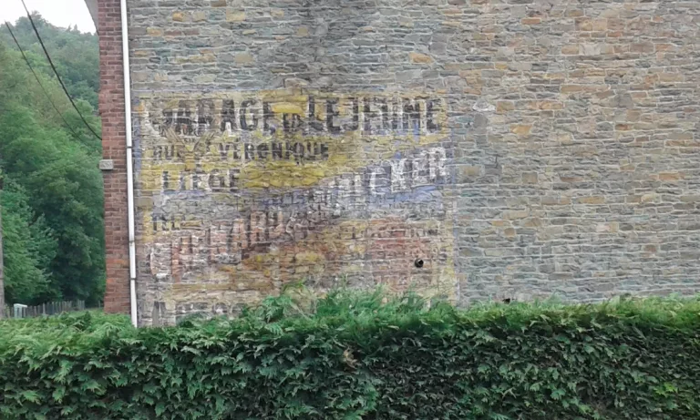 Avant qu’elles ne disparaissent…