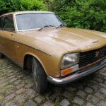 A vendre lot de deux Peugeot 304 coupé